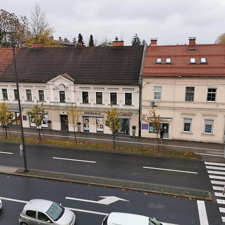 Apartment Trzaska With Free Parking Ljubljana Luaran gambar