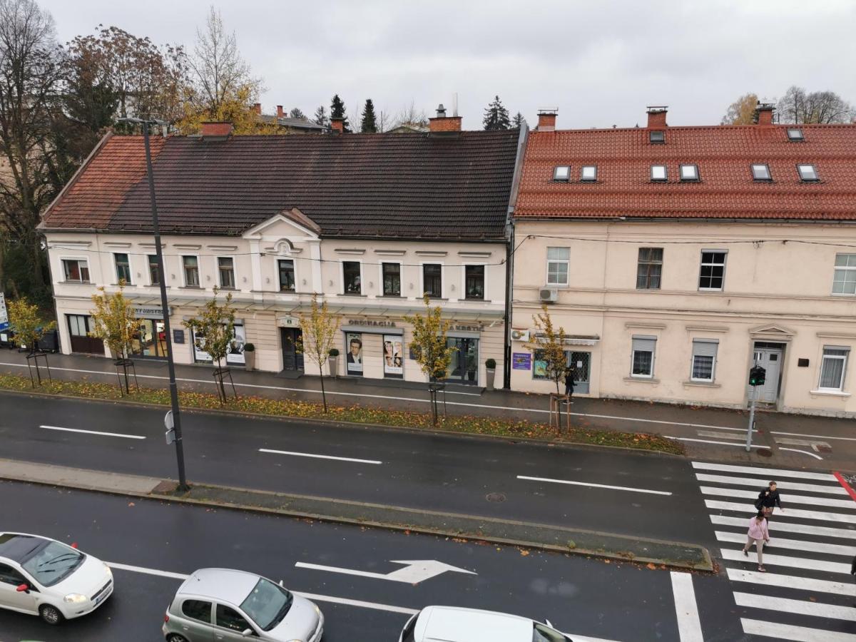 Apartment Trzaska With Free Parking Ljubljana Luaran gambar